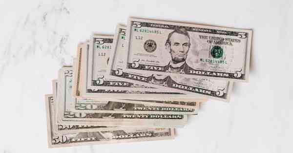 网络技术应用是什么专业