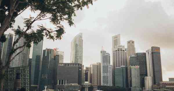 效果图制作接单快速出图_效果图制作接单快速出图软件