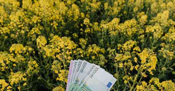 宣传片背景音乐_宣传片背景音乐高级感