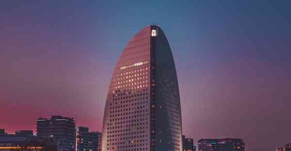 猪的宣传片视频制作