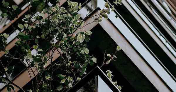 通过制作税收普法宣传片