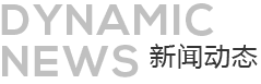 新闻动态