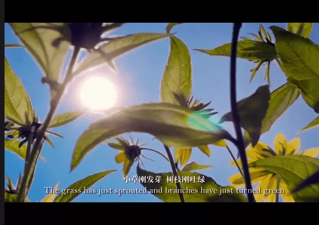  太阳语的春天